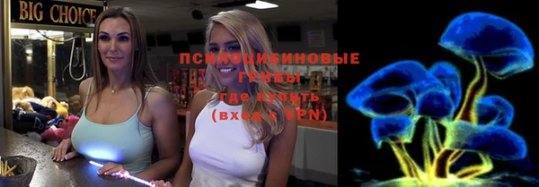 молекула духа Арсеньев