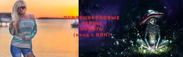 соль ск Армянск
