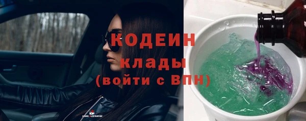 молекула духа Арсеньев